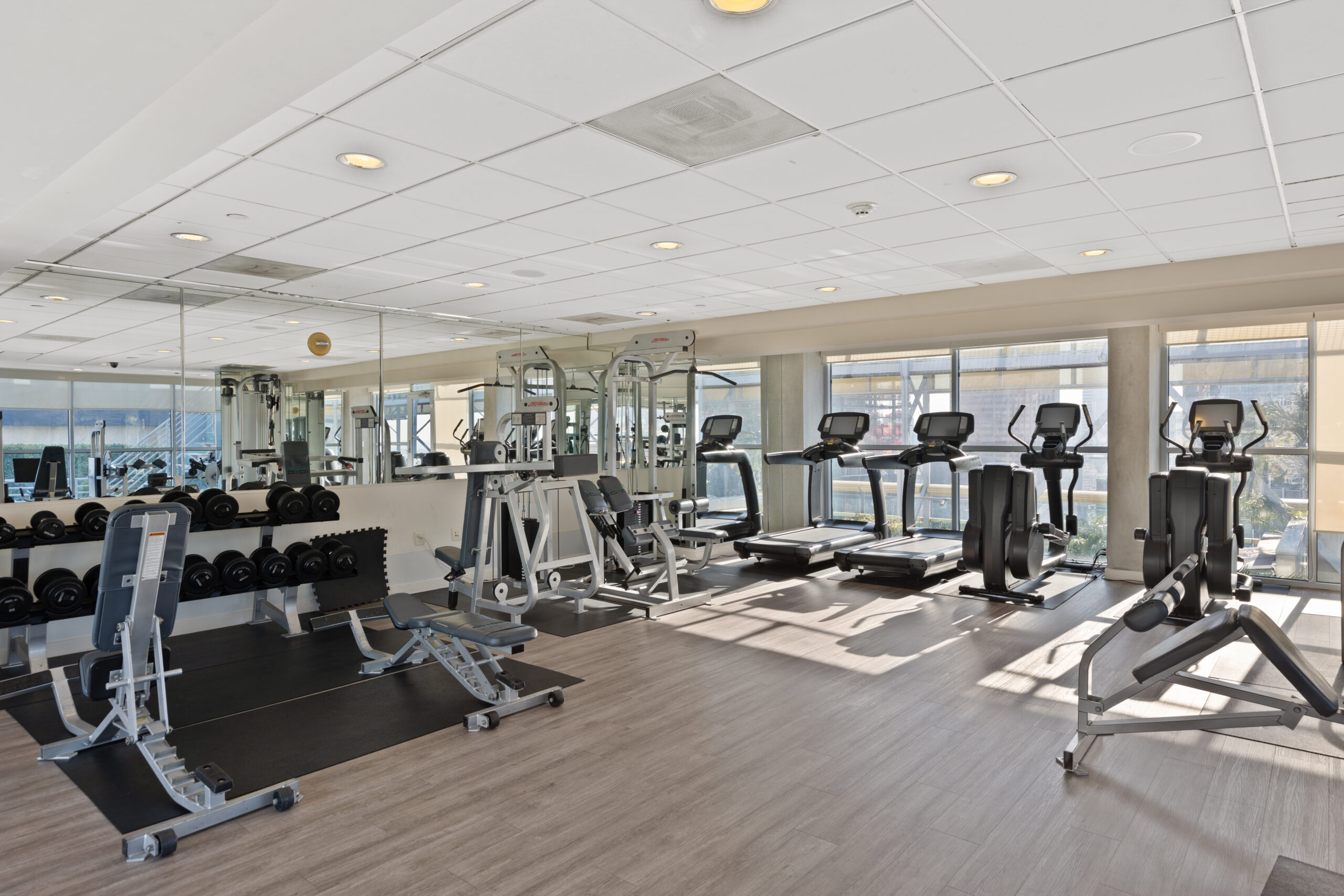 1010 gym
